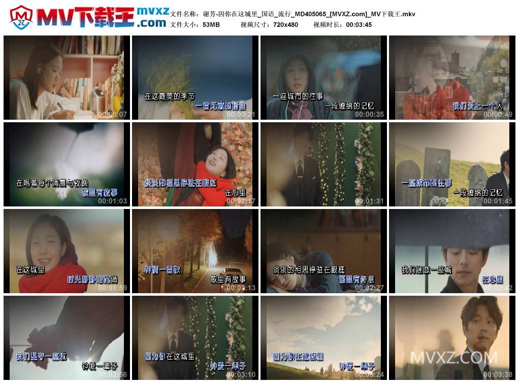 谢芳-因你在这城里_国语_流行_MD405065